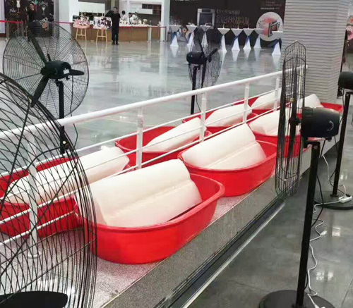 陕西青青草精品视频冰块